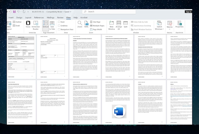 professionally format and design word documents